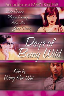 Days of Being Wild (Ah fei zing zyun) วันที่หัวใจรักกล้าตัดขอบฟ้า (1990) - ดูหนังออนไลน